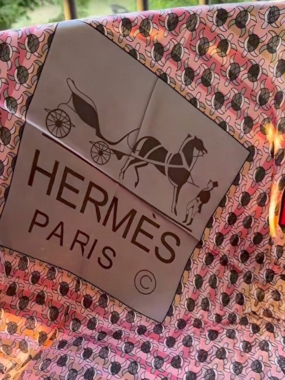 Hermes Pink & Gray Sea Turtle Silk Scarf - Picture 5 of 10